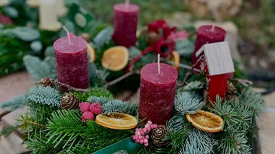 Adventní období v zahradě  ✨